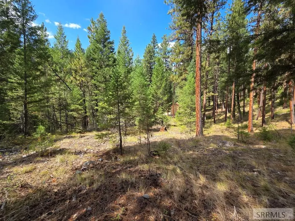 Exterior - 3361 N Hwy 93, Gibbonsville, ID 83463 photo 26 of 35