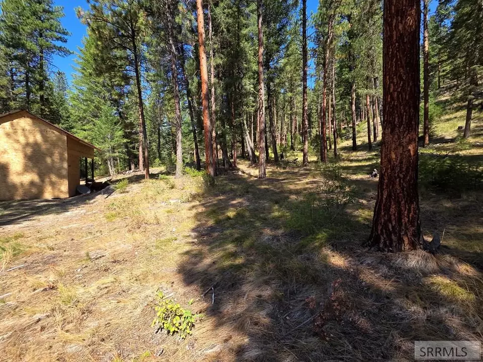 Exterior - 3361 N Hwy 93, Gibbonsville, ID 83463 photo 7 of 35