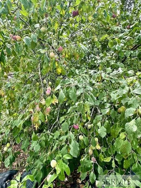 Other - 2 N 3737 E, Rigby, ID 83442 photo 15 of 15