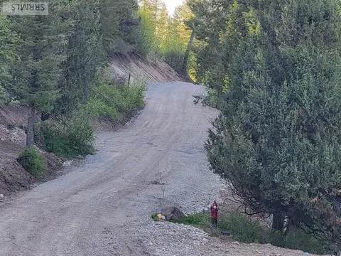 L39 B4 Cutthroat Run, Irwin, ID 83428 photo 7