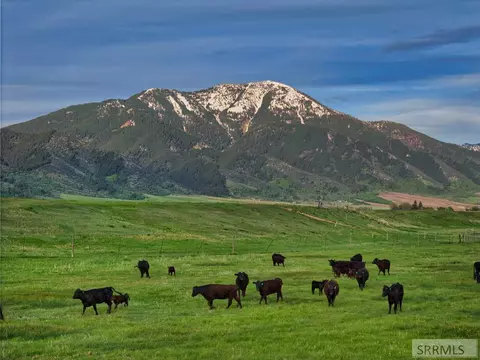 536 Ranger Sta, Swan Valley, ID 83449