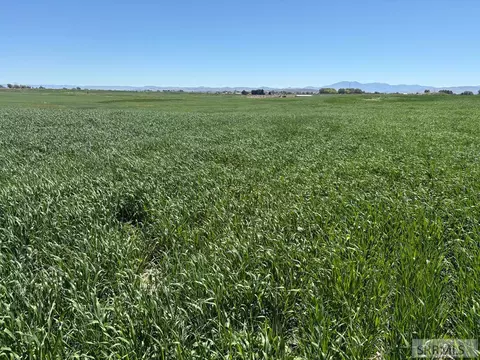 1500 W 300 1500 W, Pingree, ID 83262
