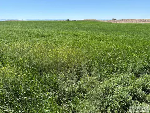 Other - 1500 W 300 1500 W, Pingree, ID 83262 photo 5 of 25
