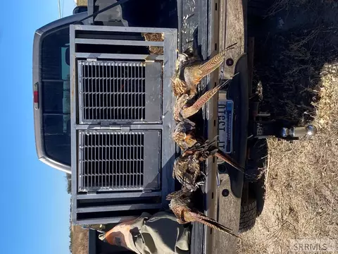 Other - 1500 W 300 1500 W, Pingree, ID 83262 photo 24 of 25