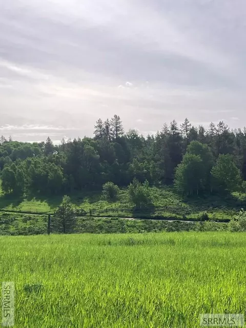1656 Shadow Loop S, Ashton, ID 83420 photo 22