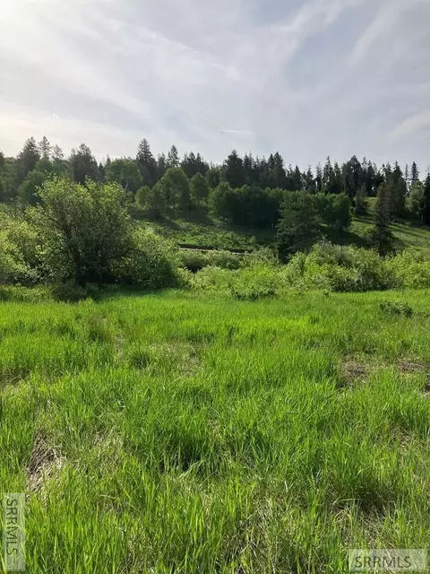 1656 Shadow Loop S, Ashton, ID 83420 photo 24