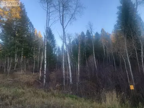 L13b2 Cutthroat Run, Irwin, ID 83428 photo 5