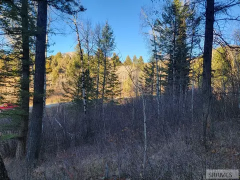 L13b2 Cutthroat Run, Irwin, ID 83428 photo 4