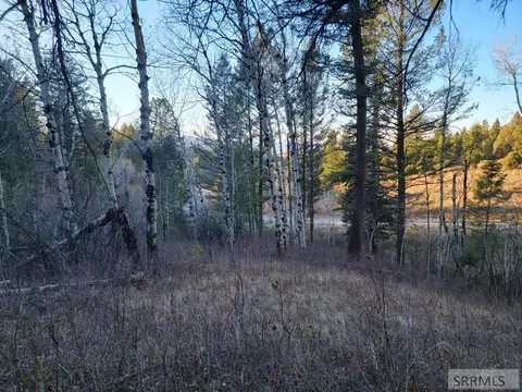 L13b2 Cutthroat Run, Irwin, ID 83428 photo 9