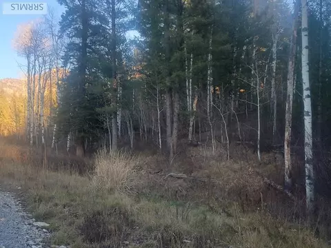 L13b2 Cutthroat Run, Irwin, ID 83428 photo 7