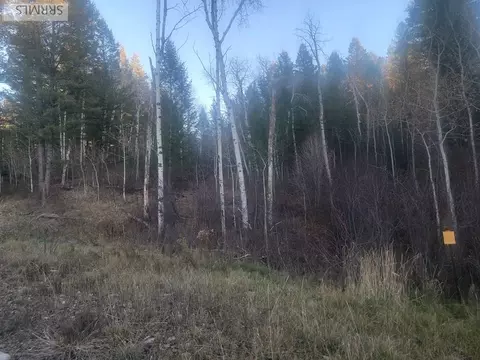 L13b2 Cutthroat Run, Irwin, ID 83428 photo 3