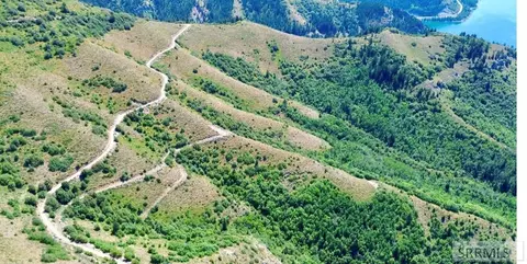 6 Lots Shady Ln, Irwin, ID 83428 photo 4