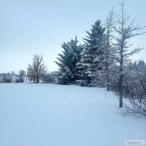 Exterior - 4106 E 67 N, Rigby, ID 83442 photo 8 of 28