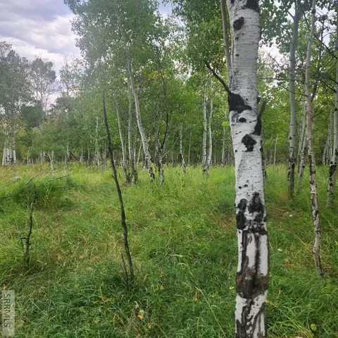 tbd N 4600 E, Ashton, ID 83420 photo 47