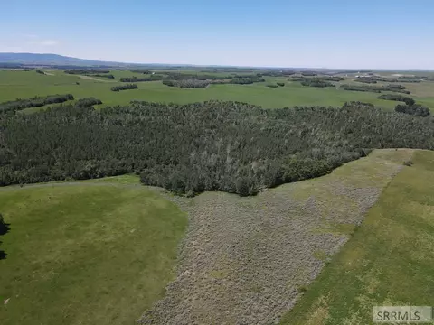 tbd N 4600 E, Ashton, ID 83420 photo 14
