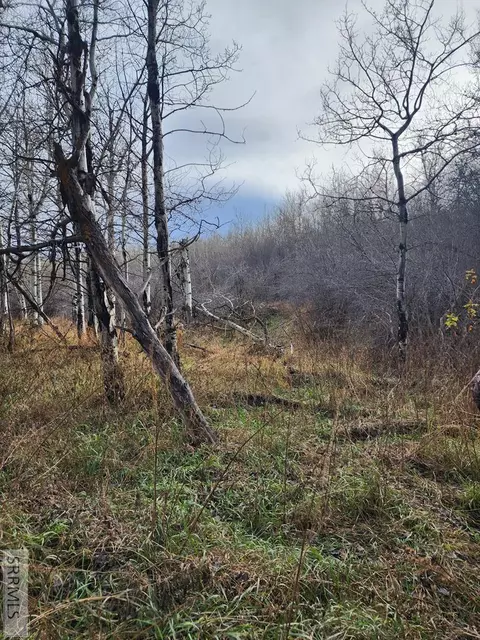 tbd N 4600 E, Ashton, ID 83420 photo 62