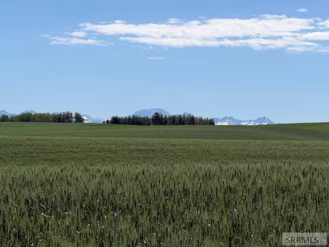 tbd N 4600 E, Ashton, ID 83420