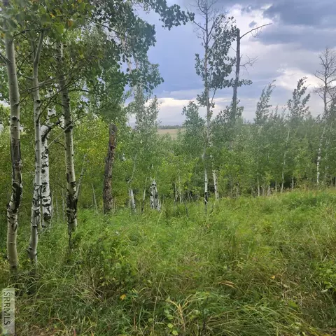 tbd N 4600 E, Ashton, ID 83420 photo 48