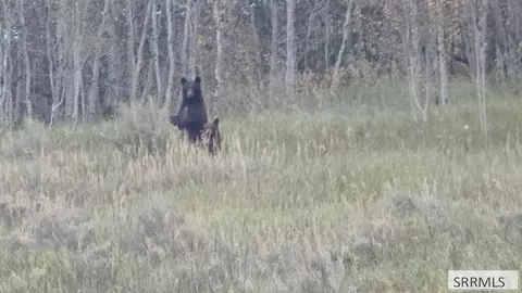 tbd N 4600 E, Ashton, ID 83420 photo 47