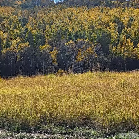 tbd N 4600 E, Ashton, ID 83420 photo 53