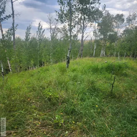 tbd N 4600 E, Ashton, ID 83420 photo 38