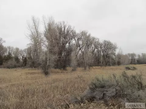 4617 E 200 N, Rigby, ID 83442