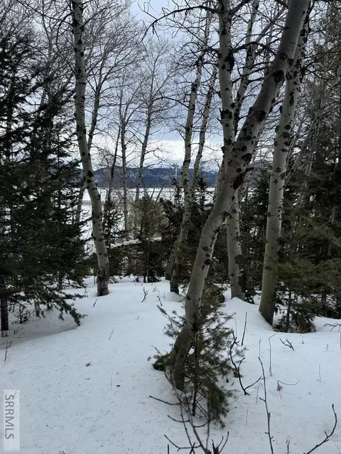 4788 Balsam St, Island Park, ID 83429