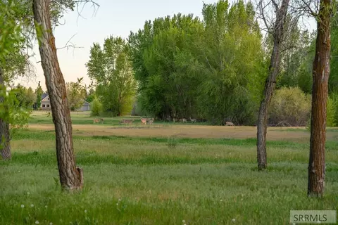 333 N 4440 E, Rigby, ID 83442 photo 30