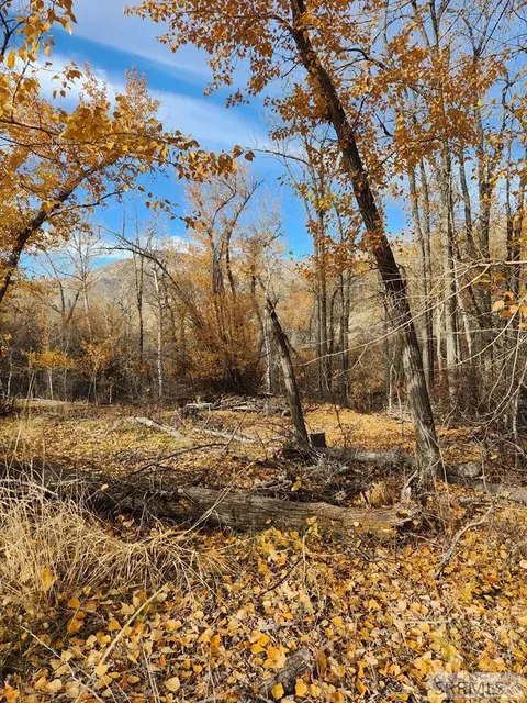 tbd Burden Rd, Salmon, ID 83467