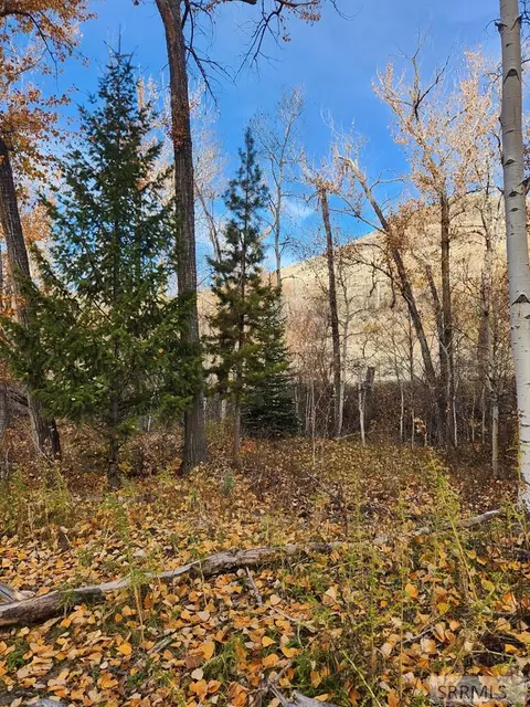 tbd Burden Rd, Salmon, ID 83467 photo 18