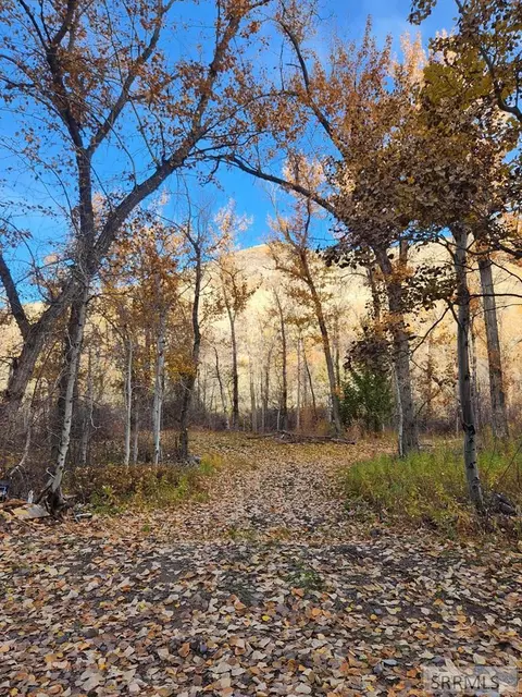 tbd Burden Rd, Salmon, ID 83467 photo 15