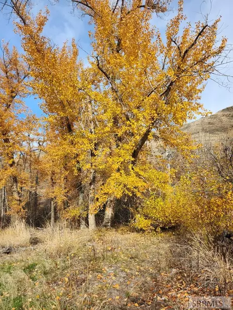 tbd Burden Rd, Salmon, ID 83467 photo 12