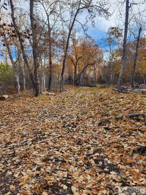 tbd Burden Rd, Salmon, ID 83467 photo 5