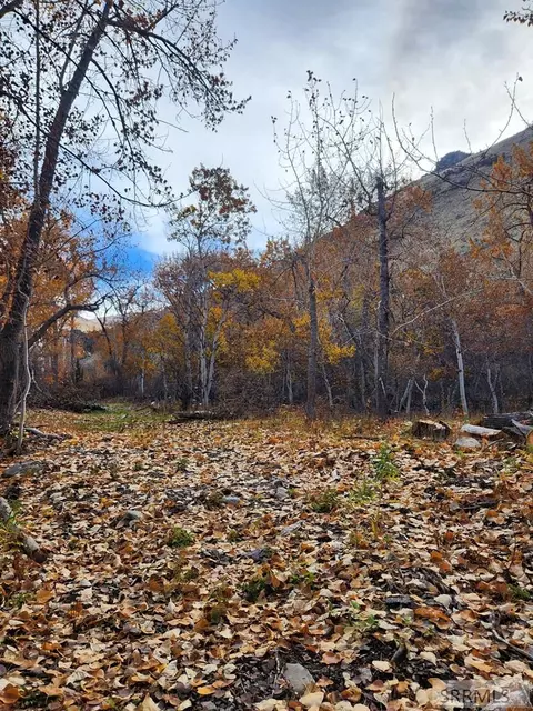 tbd Burden Rd, Salmon, ID 83467 photo 4