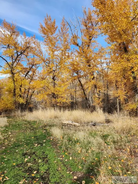 tbd Burden Rd, Salmon, ID 83467 photo 20