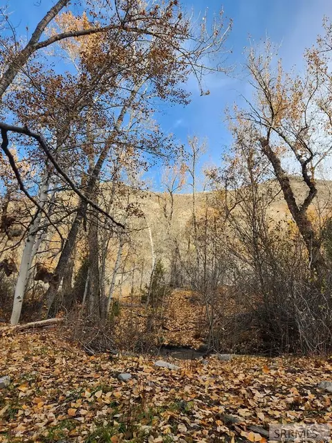 tbd Burden Rd, Salmon, ID 83467 photo 22