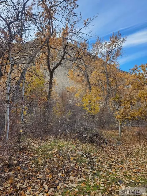 tbd Burden Rd, Salmon, ID 83467 photo 21