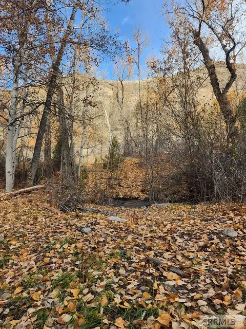 tbd Burden Rd, Salmon, ID 83467 photo 11