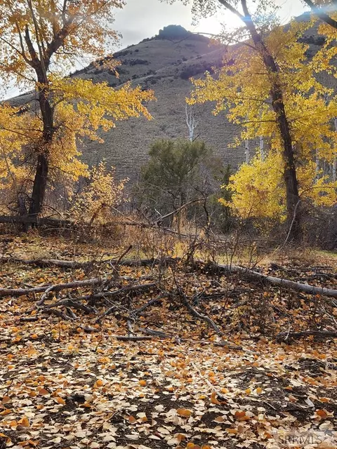 tbd Burden Rd, Salmon, ID 83467 photo 9