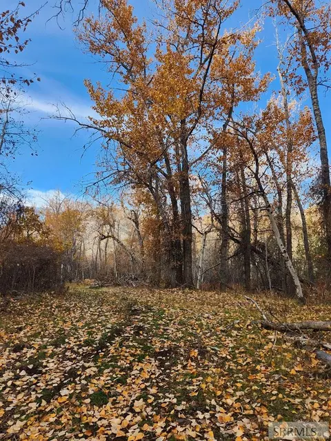 tbd Burden Rd, Salmon, ID 83467 photo 16