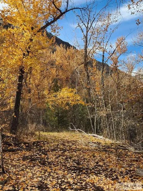tbd Burden Rd, Salmon, ID 83467 photo 3