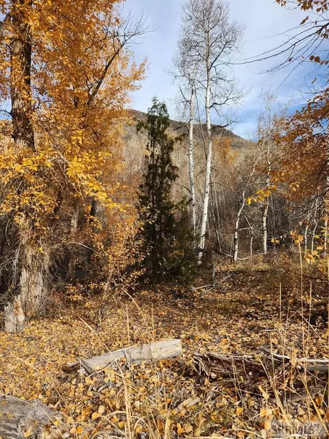 tbd Burden Rd, Salmon, ID 83467 photo 8
