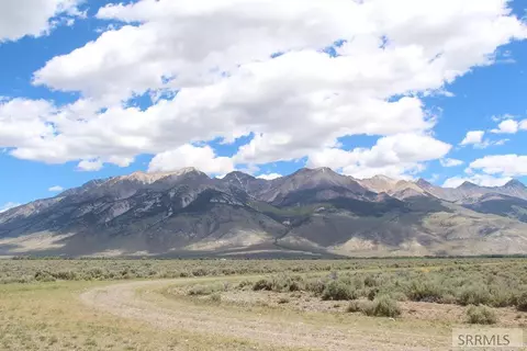 5865 W Remington Ridge Rd, Mackay, ID 83251