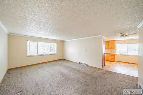 Living - 202 Adams St, Firth, ID 83236 photo 3 of 4