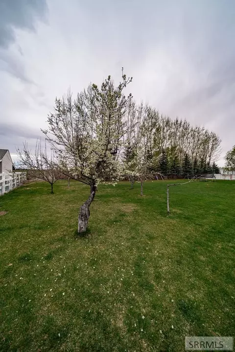 Exterior - 4 N 3700 E, Rigby, ID 83442 photo 8 of 12