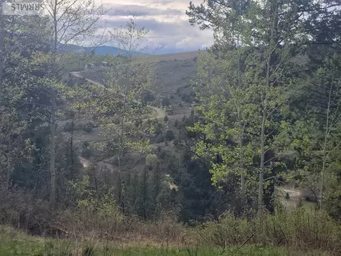 L31b4 Cutthroat Run, Irwin, ID 83428 photo 8