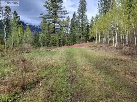 L31b4 Cutthroat Run, Irwin, ID 83428 photo 12