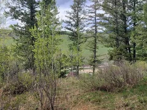 L31b4 Cutthroat Run, Irwin, ID 83428 photo 6