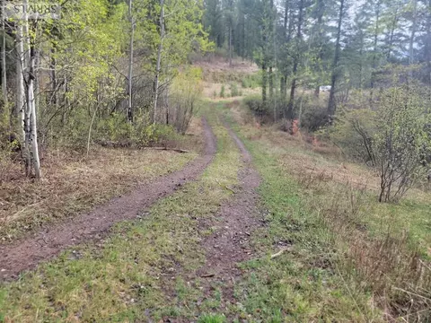 L31b4 Cutthroat Run, Irwin, ID 83428 photo 3