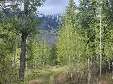 L31b4 Cutthroat Run, Irwin, ID 83428 photo 7